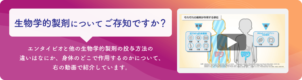 違いがわかる！「動画で見る 生物学的製剤のはたらき -潰瘍性大腸炎-」